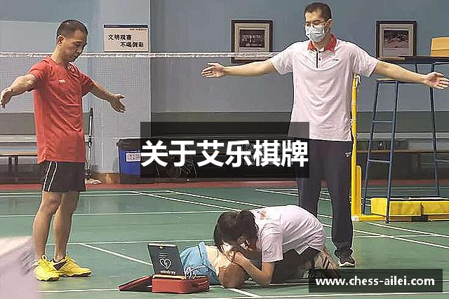 关于艾乐棋牌